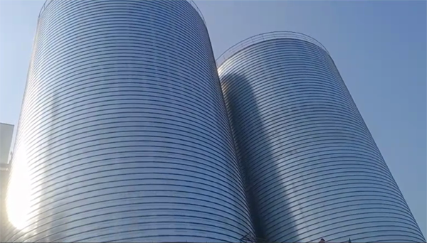 柘城2座混凝土高架卷板仓